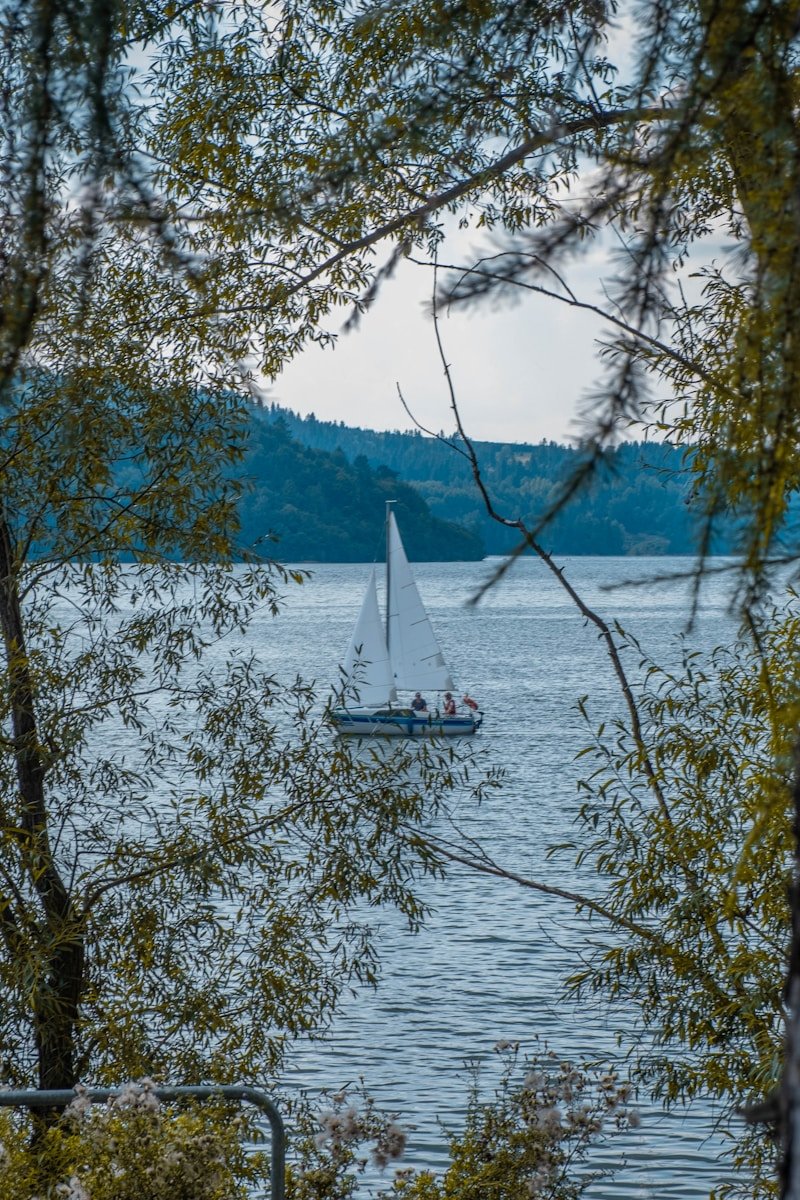 a sailboat on a lake with trees in the foreground